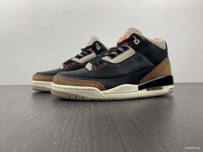 Kicktheory Elephant Desert Air Jordan CT8532-008 3 0706